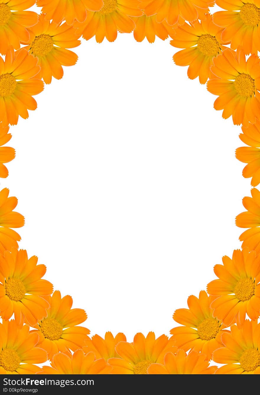 Floral background frame from orange flowers and white copyspace