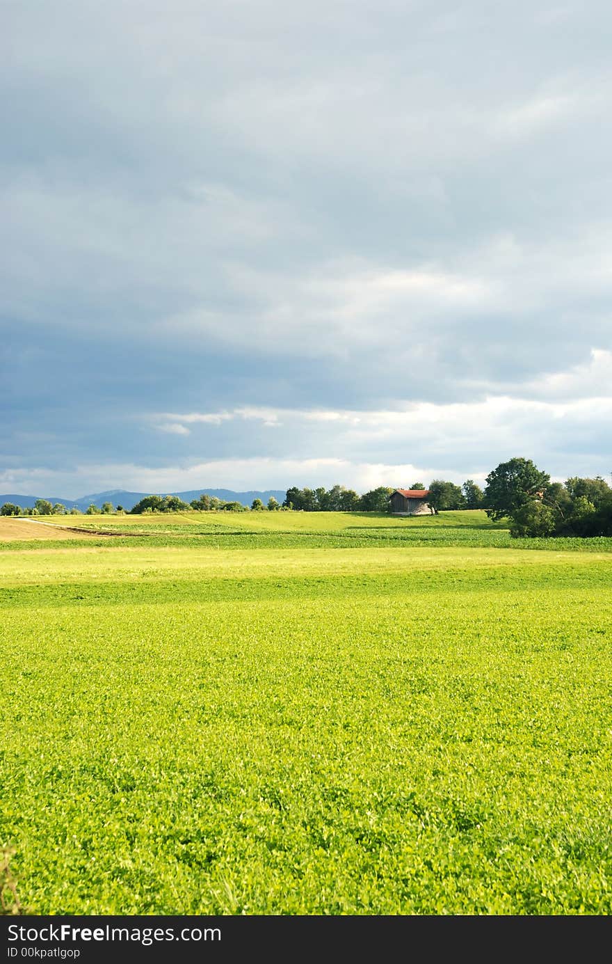 Field & clouds