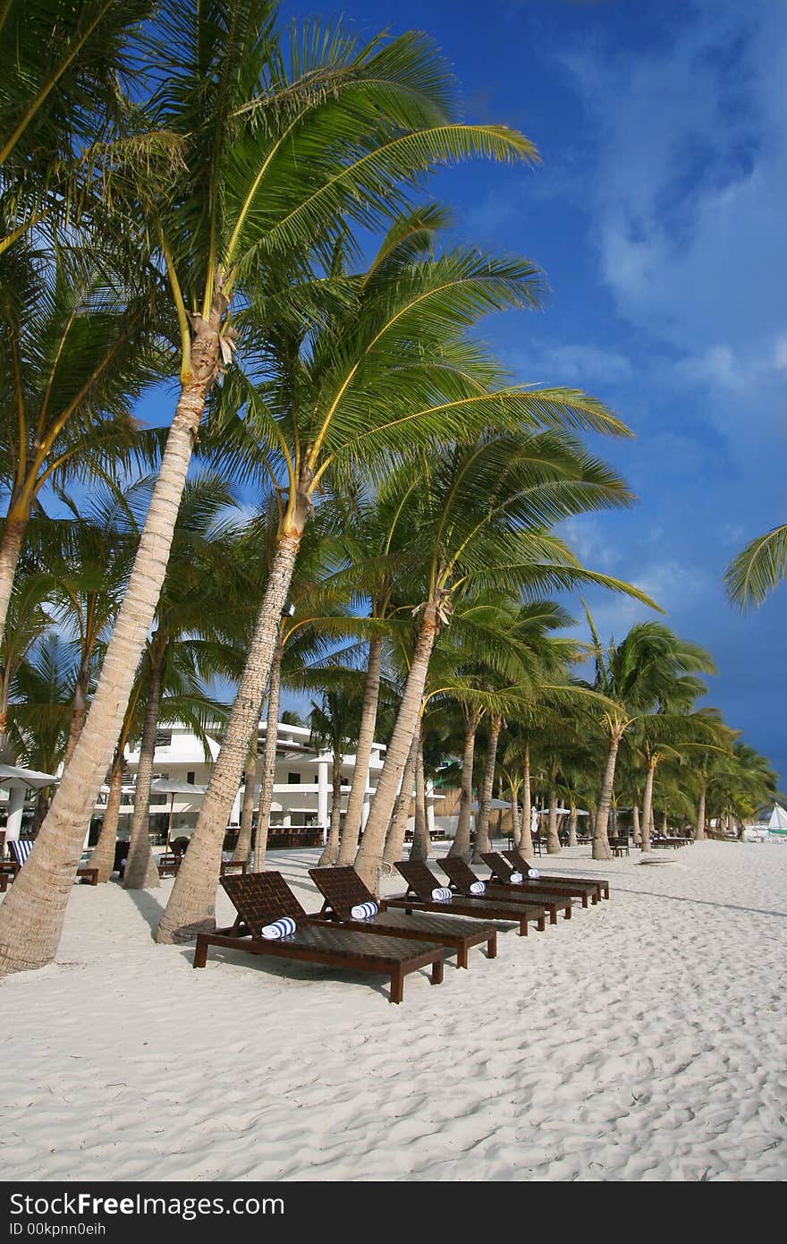 Wooden beach chairs