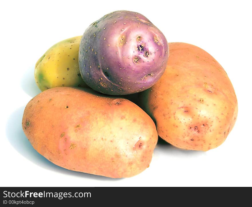 A multi-coloured potato, tasty and useful vegetables, on a white background. A multi-coloured potato, tasty and useful vegetables, on a white background.