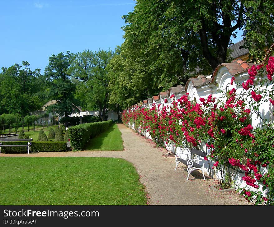 Castle park with hedge, roses and benches. Castle park with hedge, roses and benches