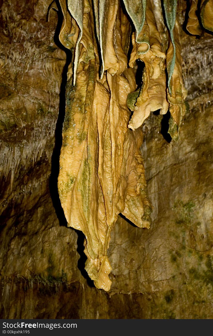 Large sandstone stalactites hang from the ceiling in Smoke Hole Caverns, WV. The green shading is cave moss or algae.