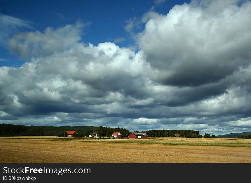 Rural landscape