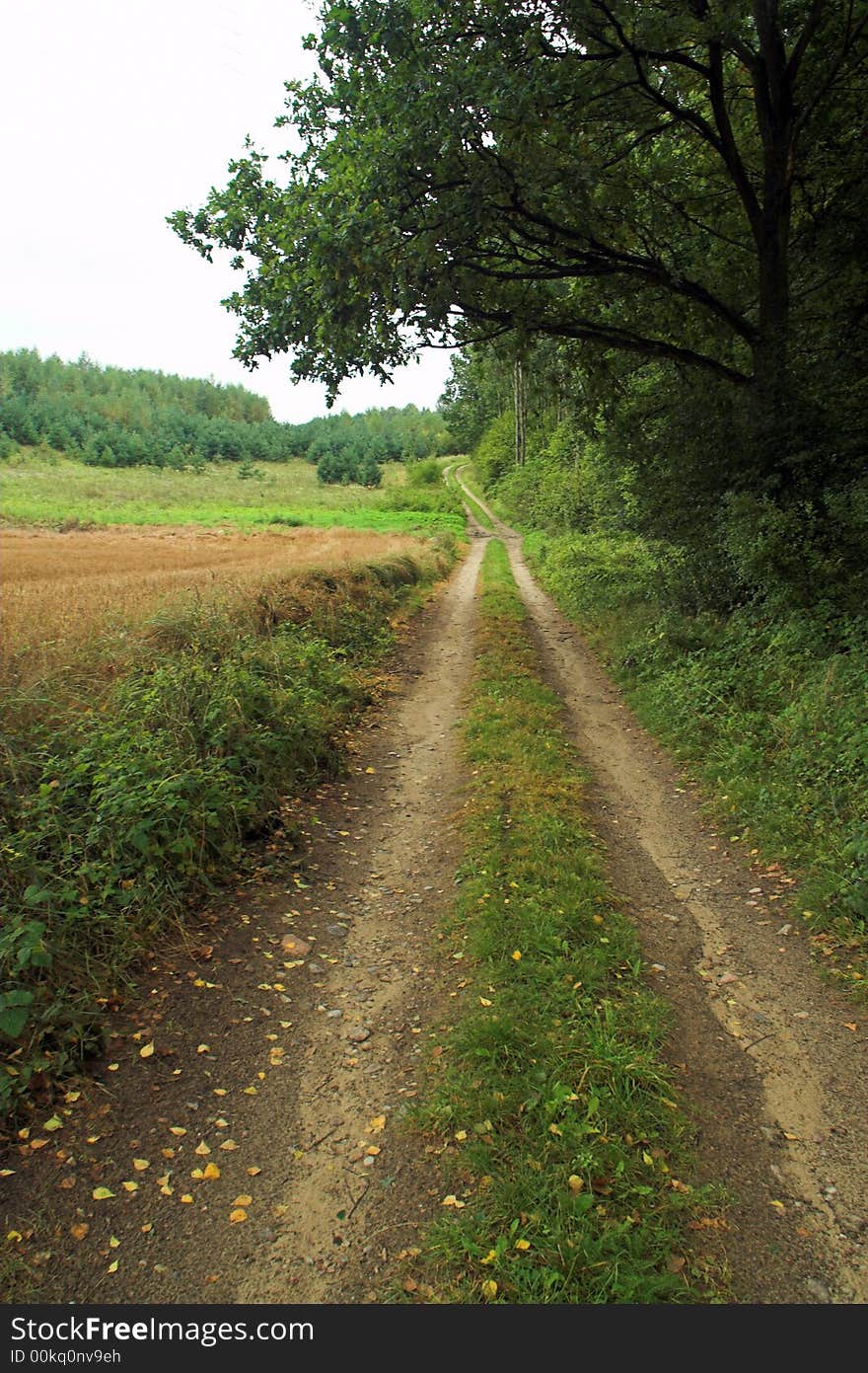 Country road with rainy clouds