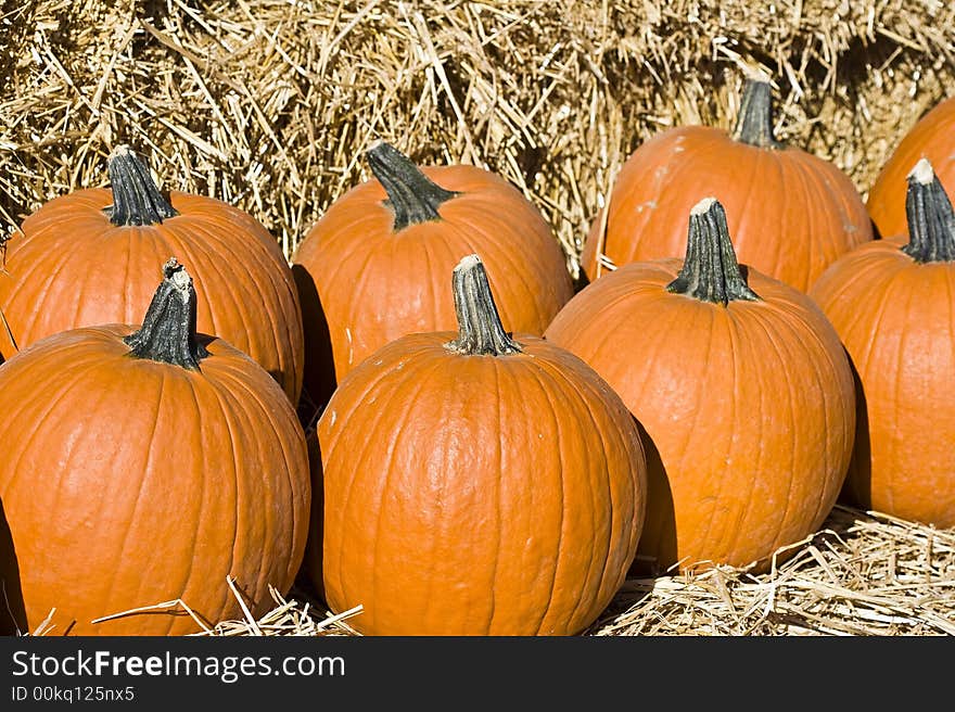 Well pumpkins on display means it's getting close to autumn, got to love the fall colors!  A pile of pumpkins infront of a hay stack. Well pumpkins on display means it's getting close to autumn, got to love the fall colors!  A pile of pumpkins infront of a hay stack