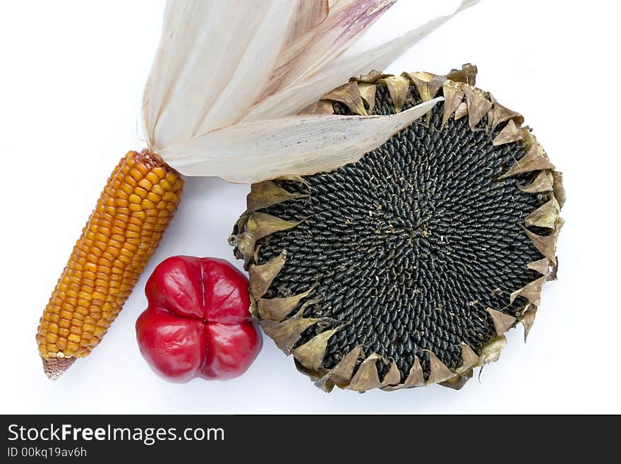 Bellpepper acorn and sunflower on white background. Bellpepper acorn and sunflower on white background