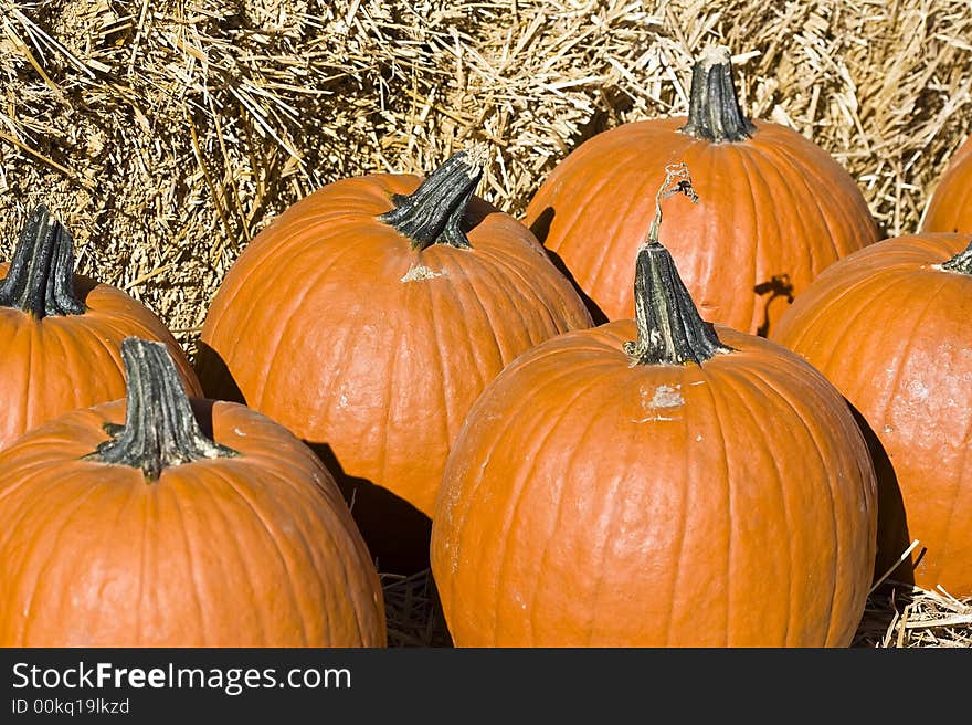 Well pumpkins on display means it's getting close to autumn, got to love the fall colors!  A pile of pumpkins infront of a hay stack. Well pumpkins on display means it's getting close to autumn, got to love the fall colors!  A pile of pumpkins infront of a hay stack