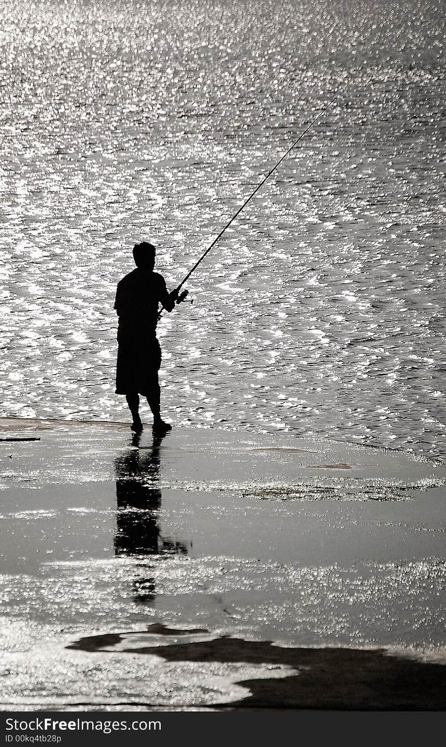 Fishing in a sunny day