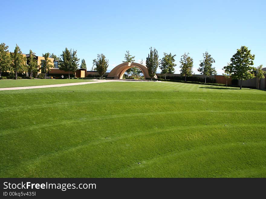 Green grass in a winery yard. Green grass in a winery yard