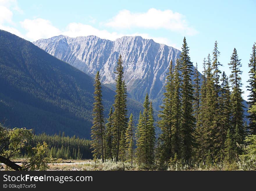 Trees and mountains