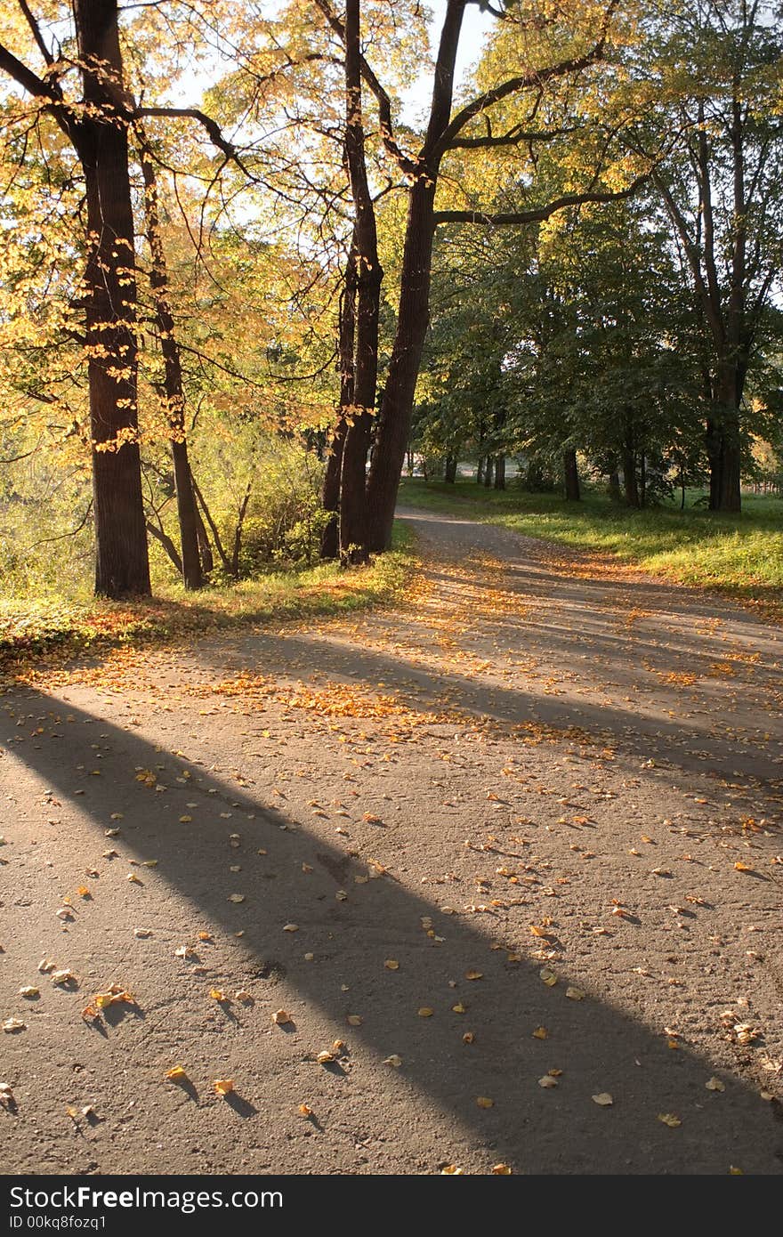 Autumn colors in an old park. Autumn colors in an old park