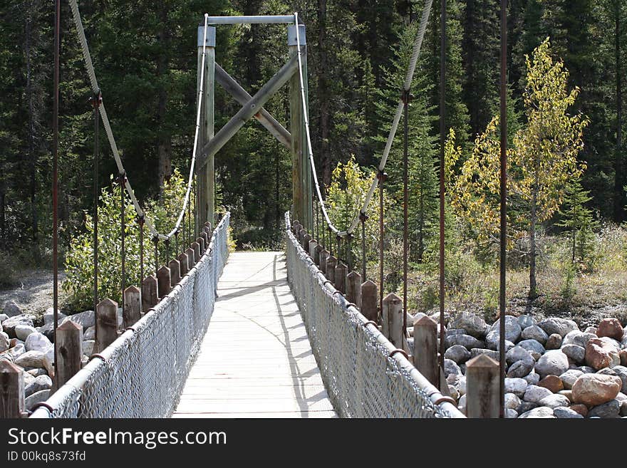 Bridge over the river in the forest