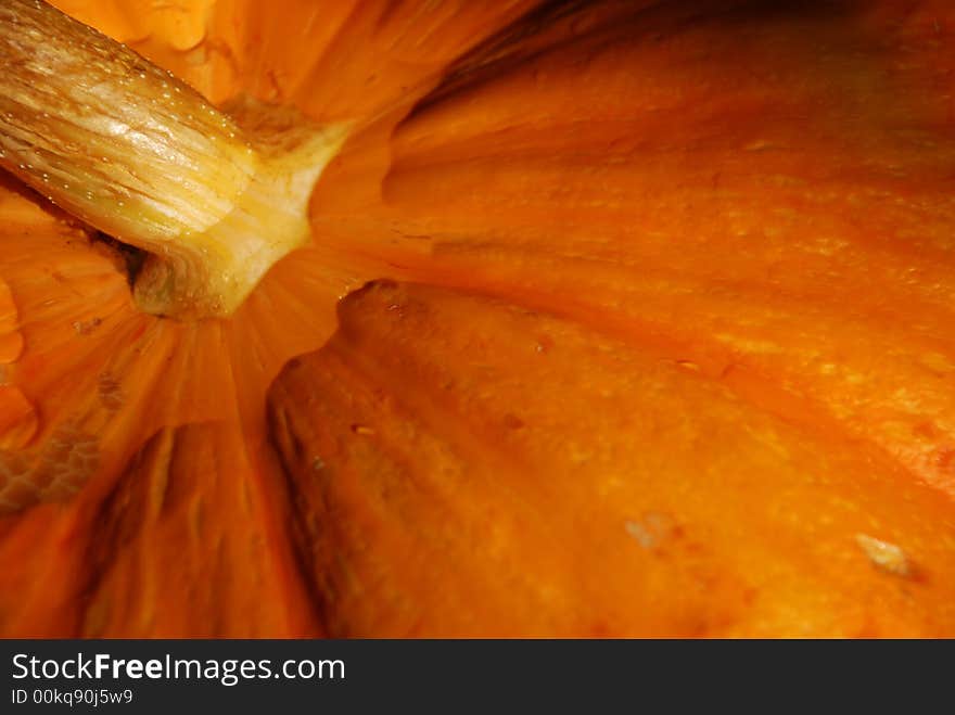 Close-up of orange Halloween pumpkin with brown stalk.