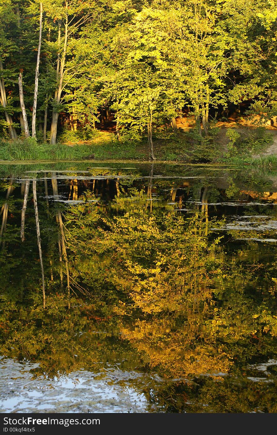 On Coast Of Lake