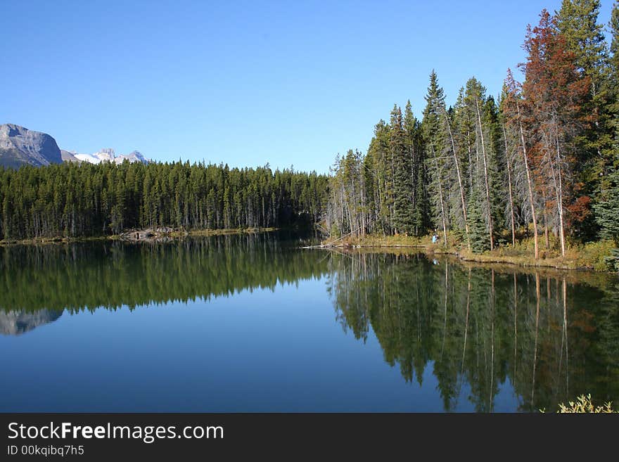 Lake and trees reflection