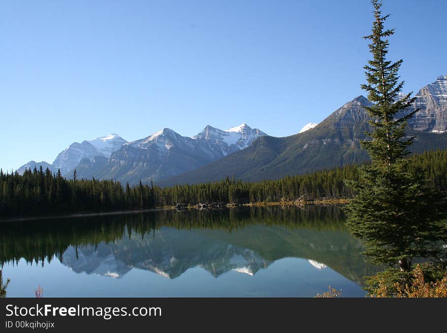 Lake and trees reflection