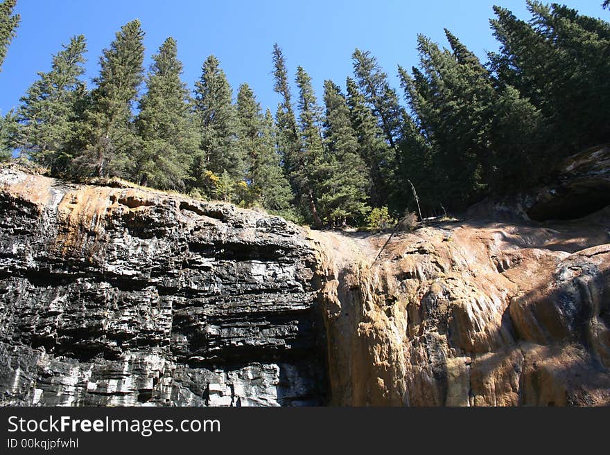 Rocks and trees