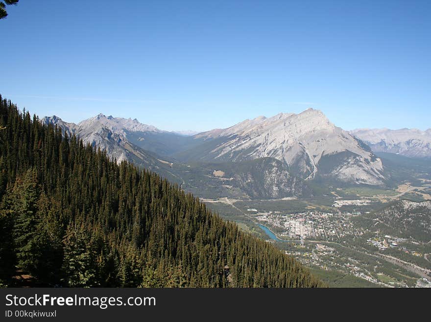 Forest and mountain