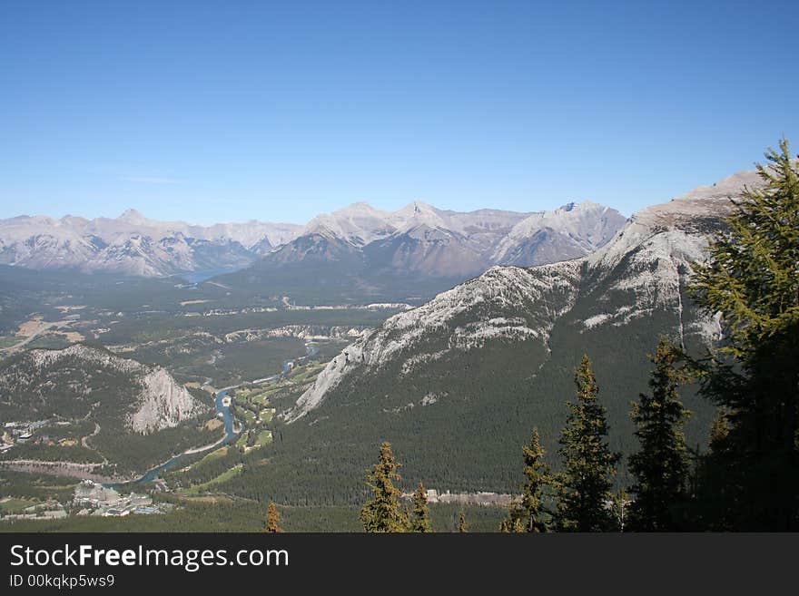 Forest and mountain