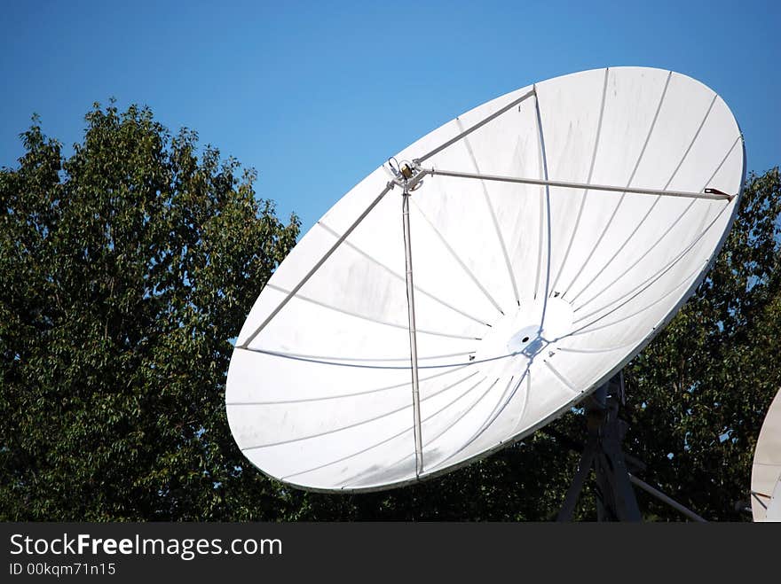 Satellite dish by the trees. Satellite dish by the trees