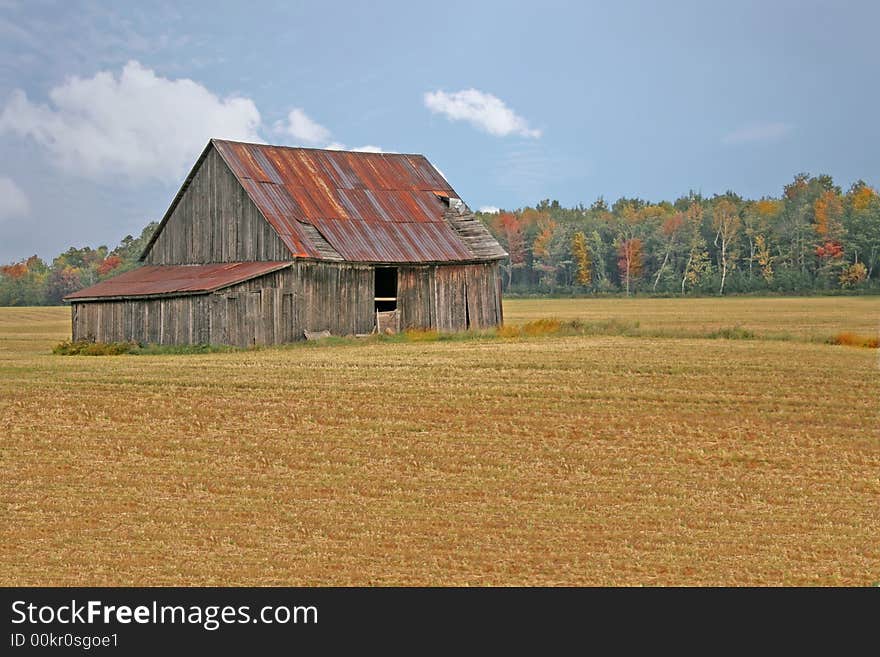 Rural autumnal with colored trees. Rural autumnal with colored trees.