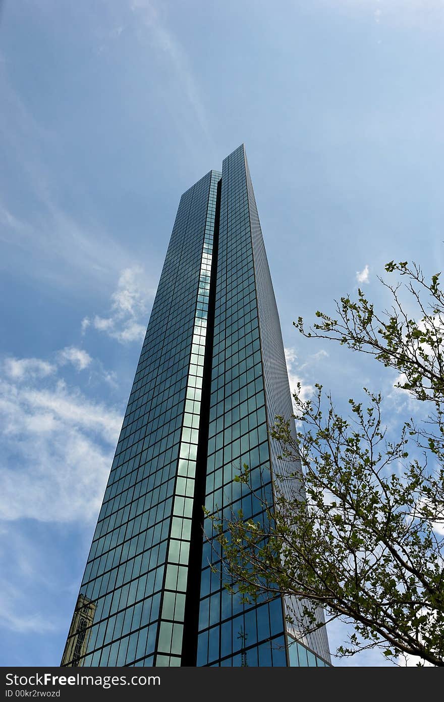 A tree is dwarfed by this tall majestic Back Bay Skyscraper. A tree is dwarfed by this tall majestic Back Bay Skyscraper