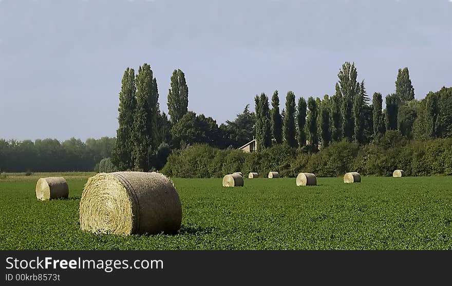 Hay Balls