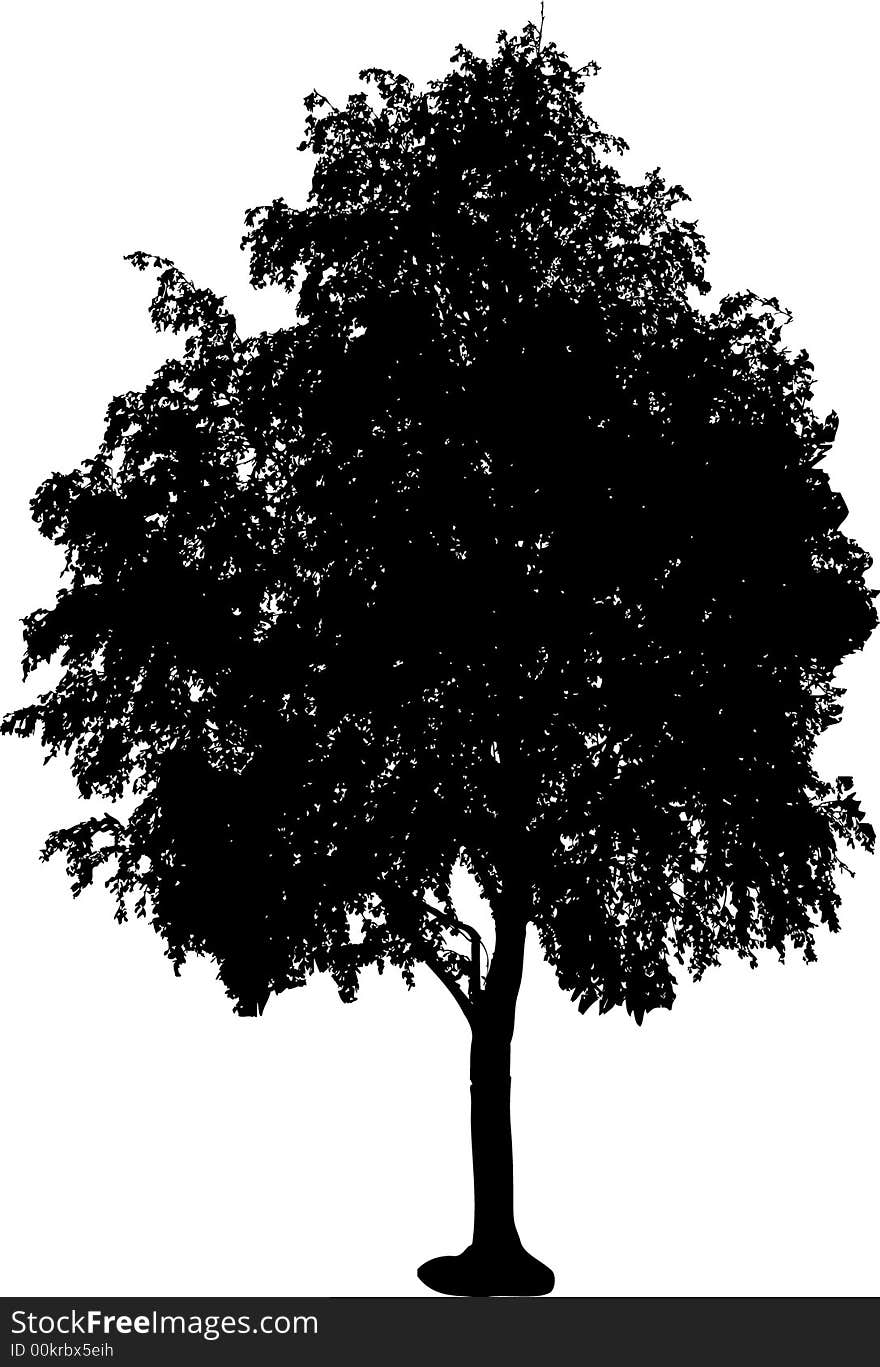 Silhouette of isolated tree. Vector ollustration. Silhouette of isolated tree. Vector ollustration