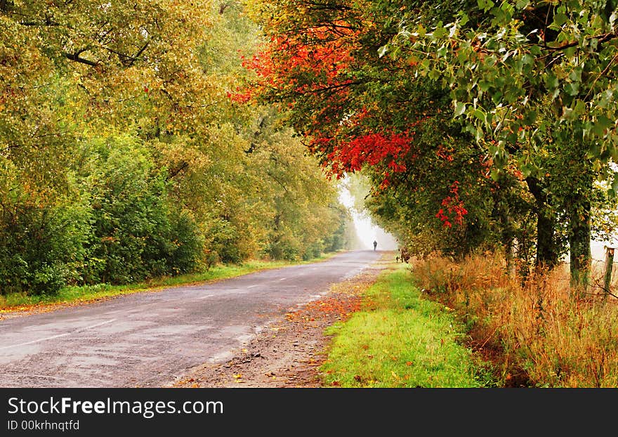 Autumn road