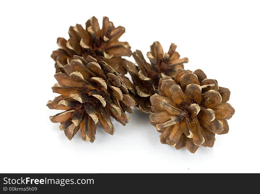 Pine cones isolated over white