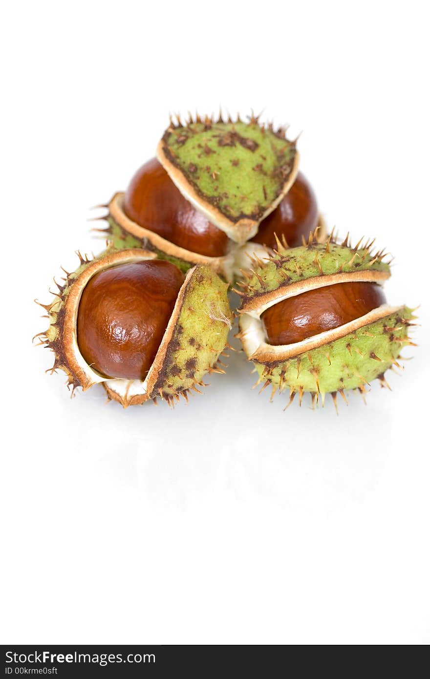 Chestnuts Close Up Isolated