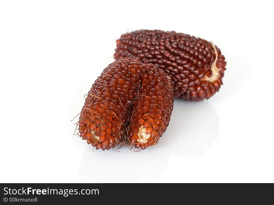 Ornament indian corn isolated