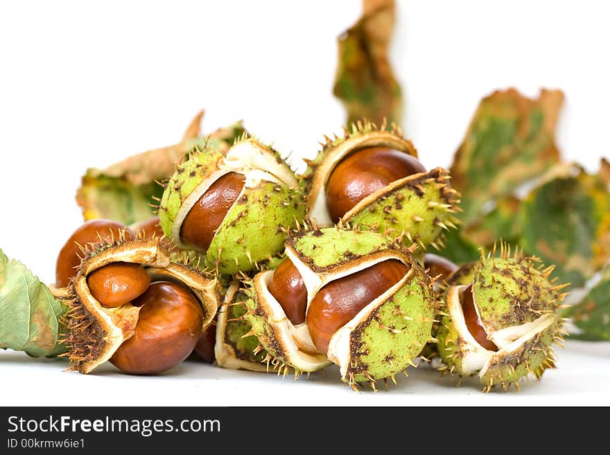 Chestnuts close up isolated