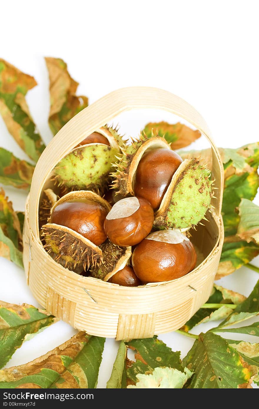 Chestnuts close up isolated with autumn leaves and basket