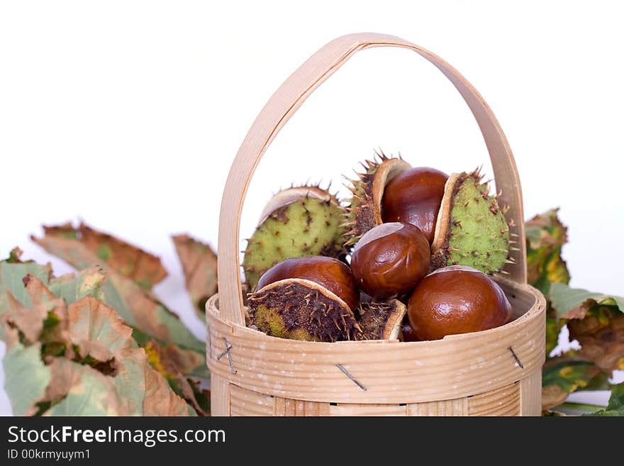 Chestnuts close up isolated with autumn leaves and small basket