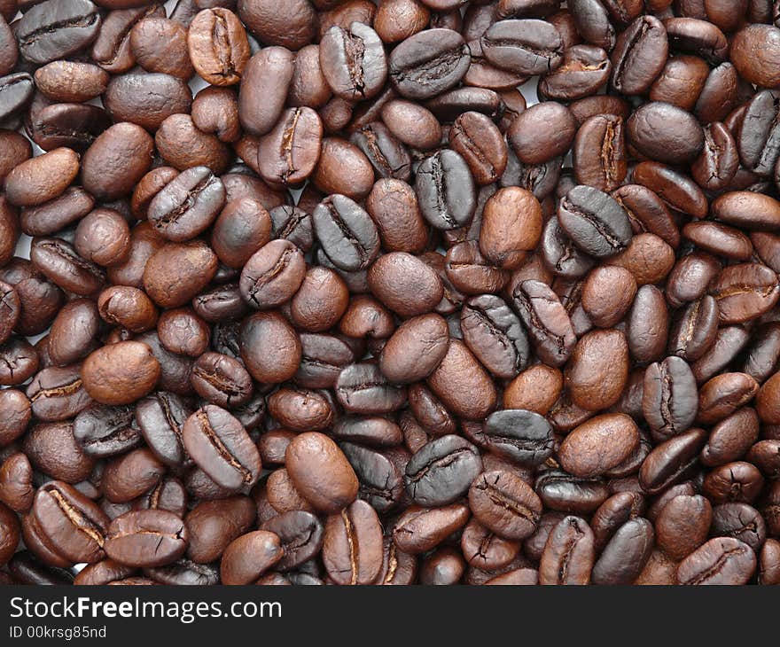 Freshly Roasted Coffee Beans