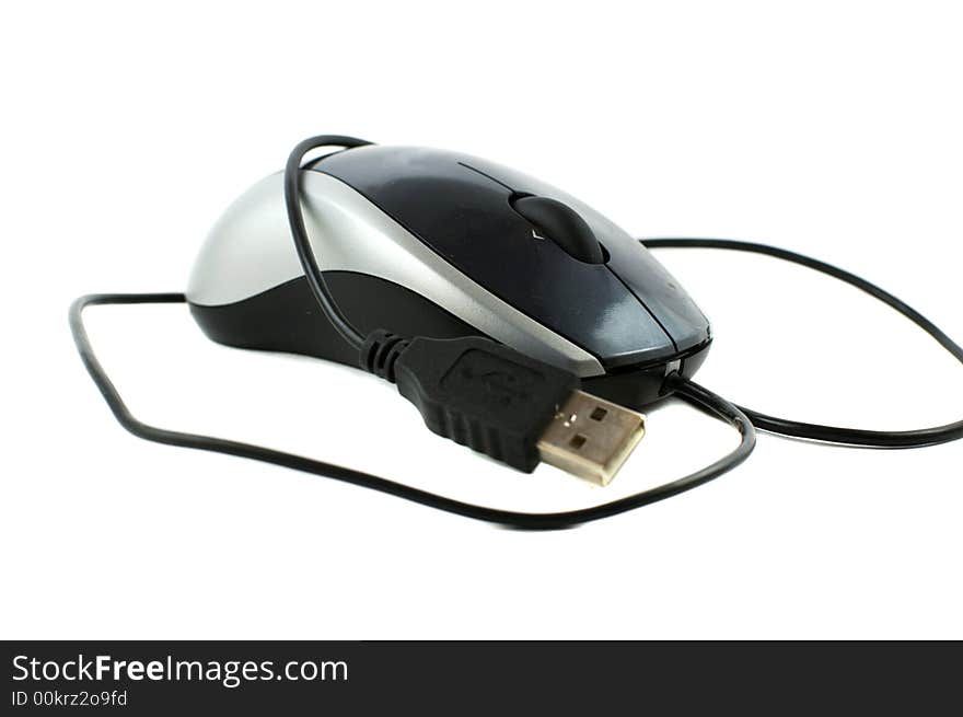 Computer mouse 1