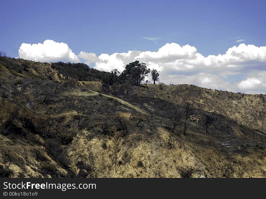 Rain clouds arriving a little too late for this fire ravaged hillside. Rain clouds arriving a little too late for this fire ravaged hillside