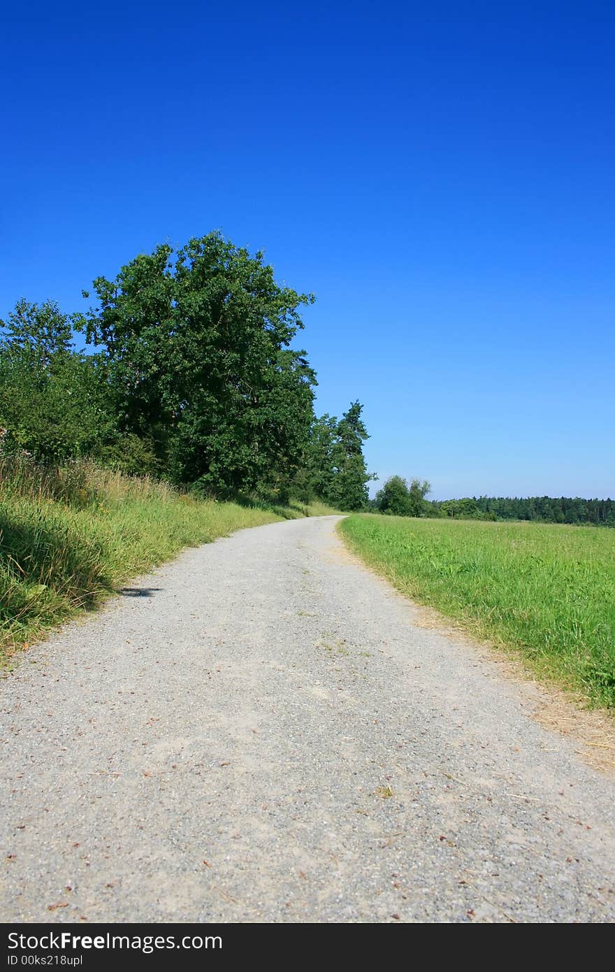 This image shows a stony road. This image shows a stony road