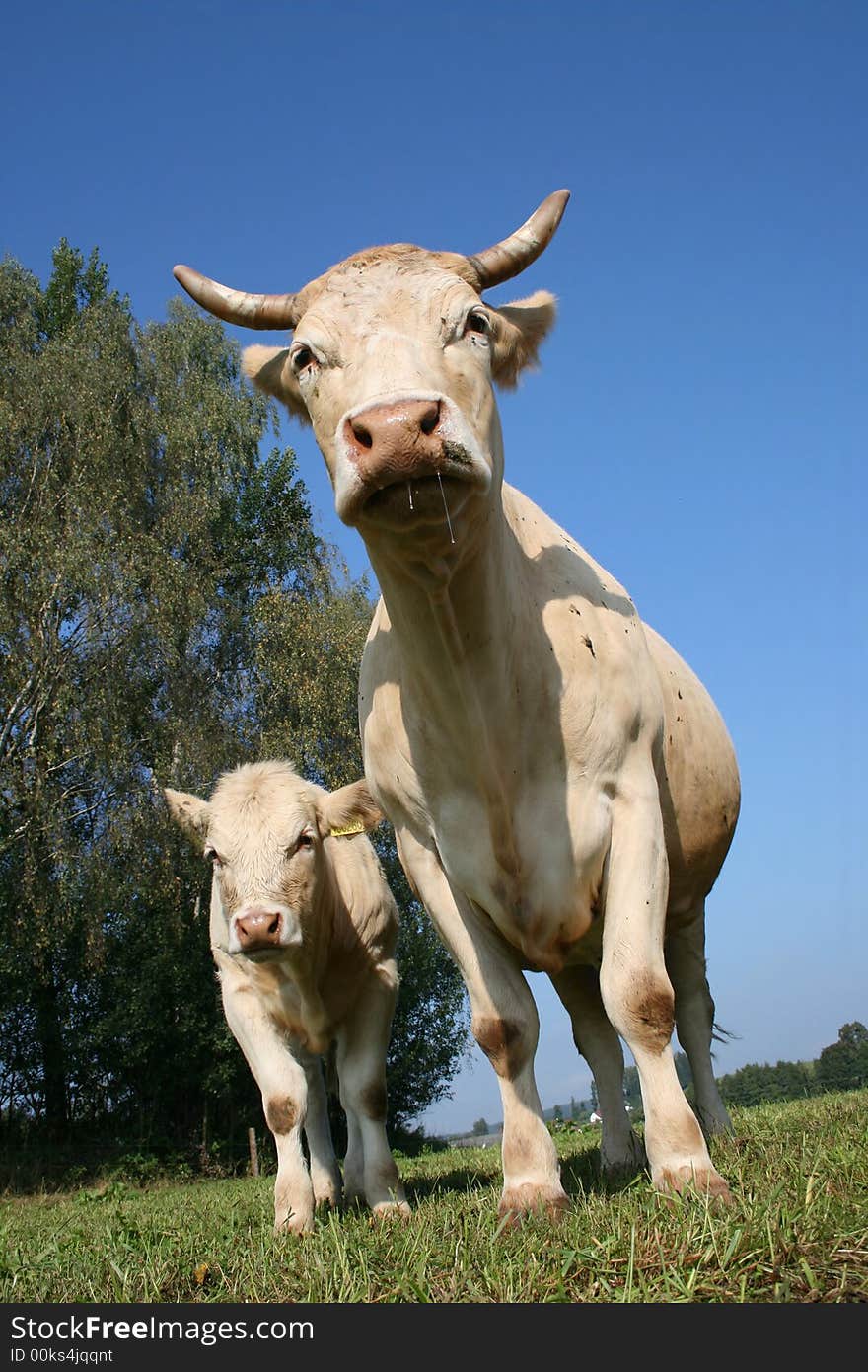 Mother and child on a farm