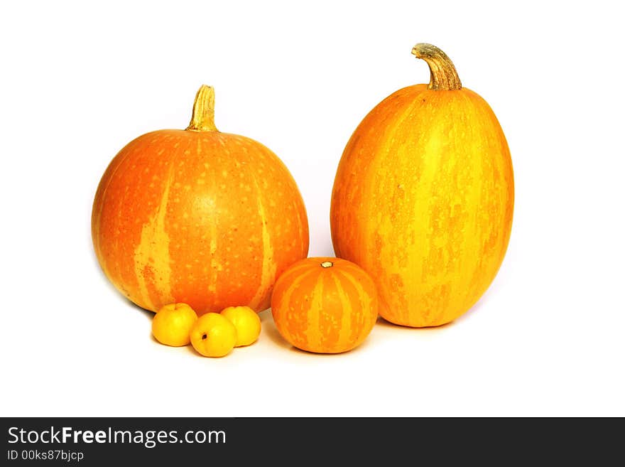 Colorful autumn vegetables - pumpkins and chaenomeles