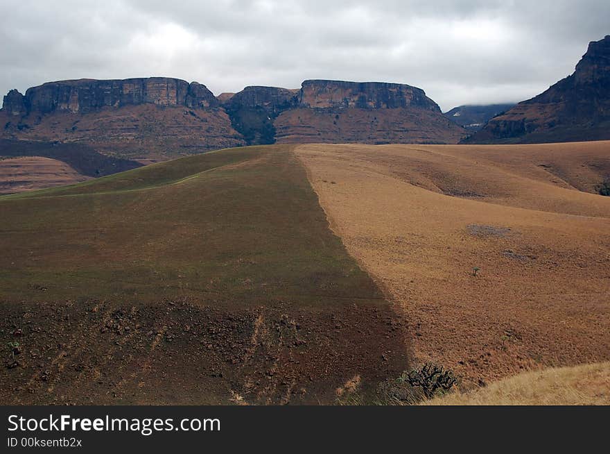 Border between green and yellow grass - South Africa. Border between green and yellow grass - South Africa