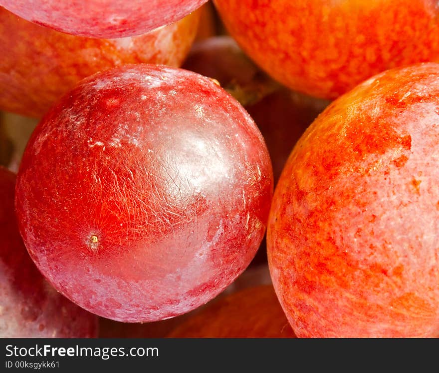 Red grape close up