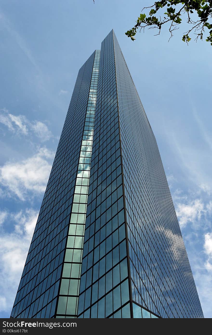 Tall man made skyscraper meets small natural tree, tall majestic Back Bay Skyscraper. Tall man made skyscraper meets small natural tree, tall majestic Back Bay Skyscraper