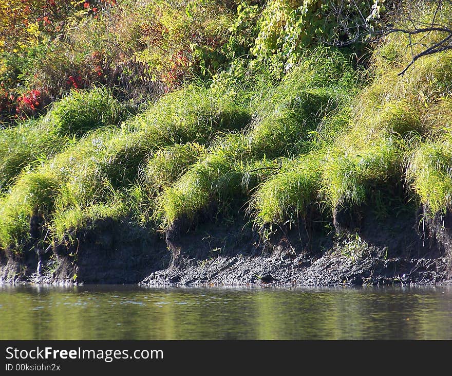 An slowing eroding grassy riverbank.