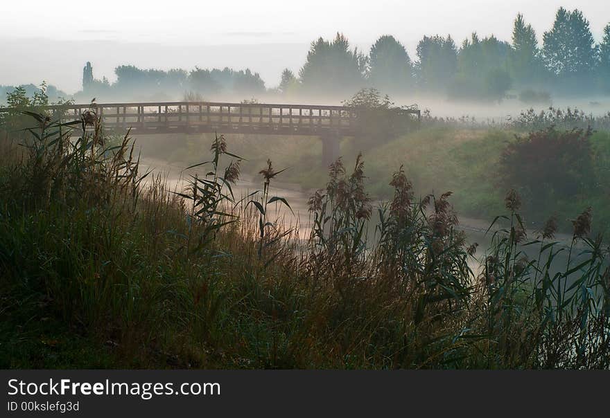 Misty dawn by the river. Misty dawn by the river