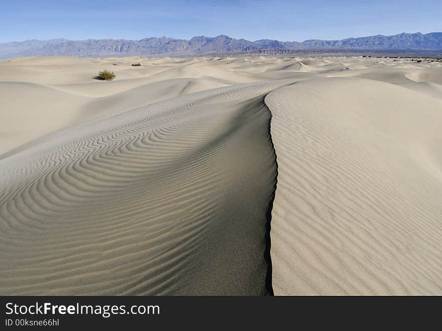 Ridgeline on Rippled Dune