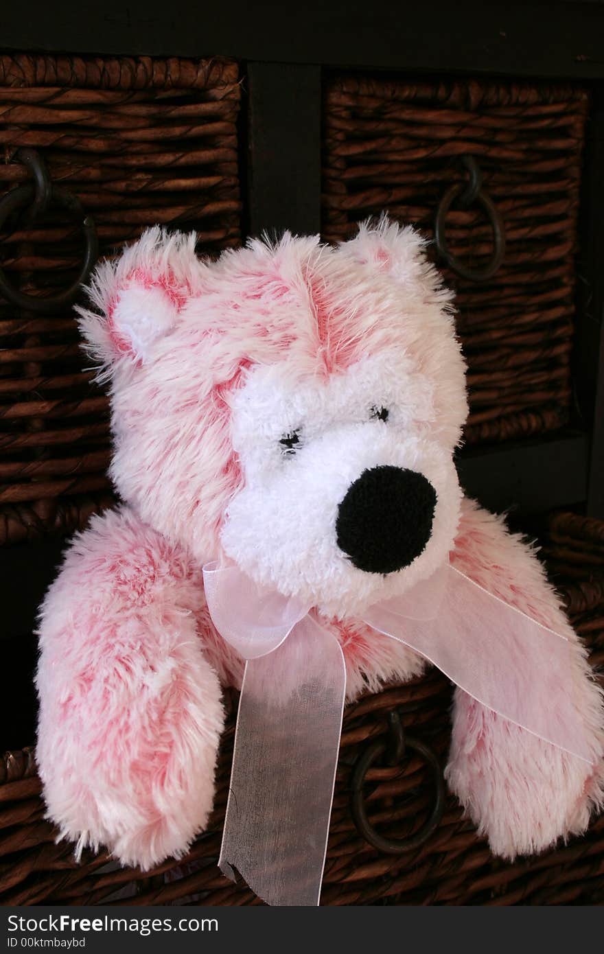 Pink Teddy Bear