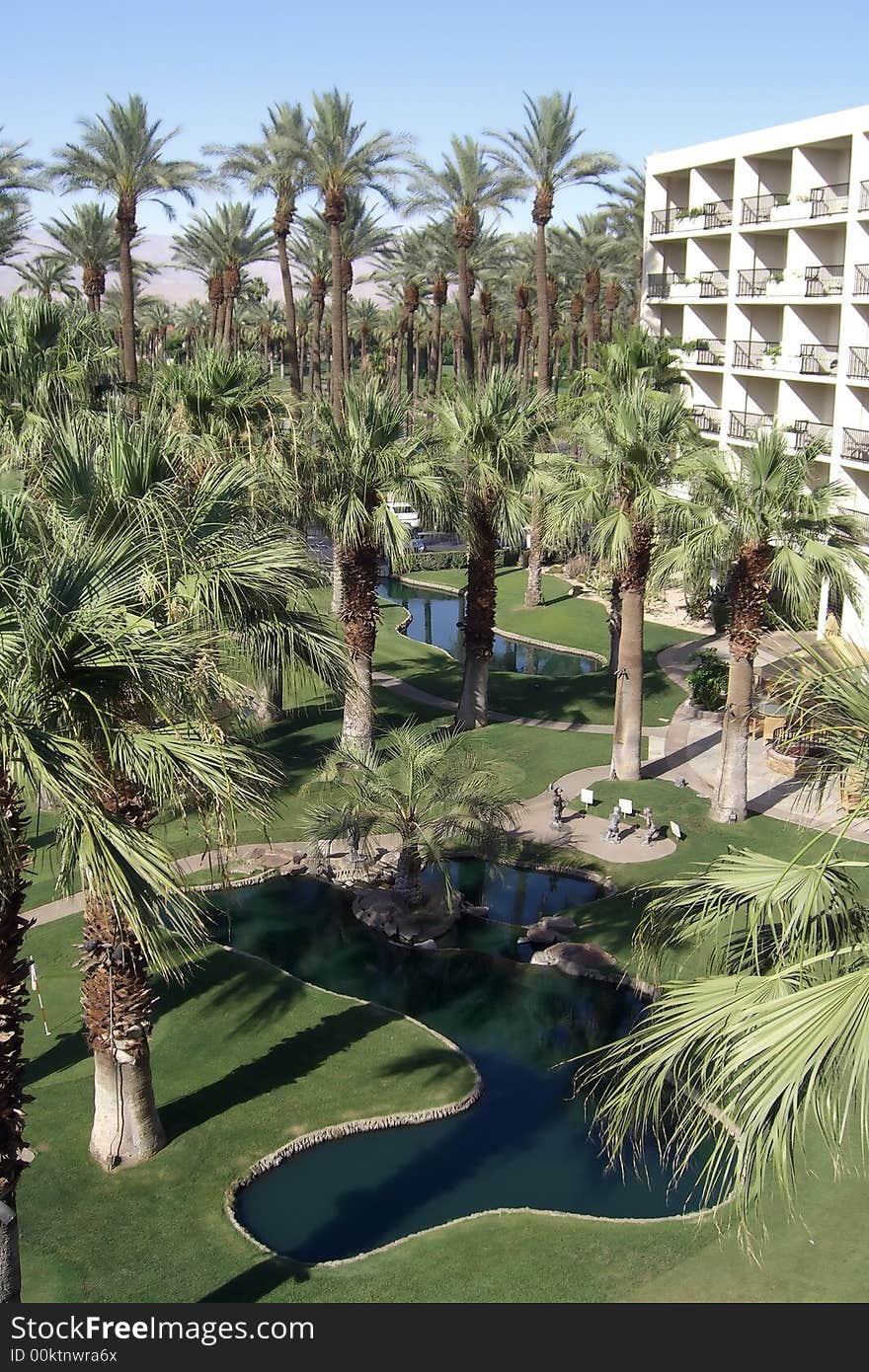 Resort in the desert with palm trees. Resort in the desert with palm trees
