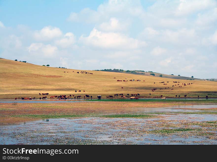 Inner Mongolia